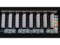 Intellinet 720922 24 poorten Patchpaneel 483 mm (19) CAT 6A 0.5 HE Zwart Ingericht - thumbnail
