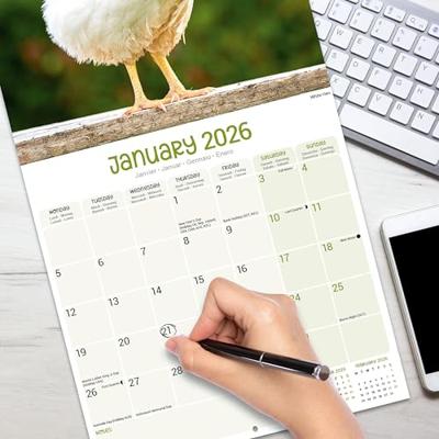 Kippen Kalender 2026
