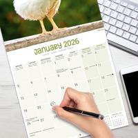 Kippen Kalender 2026 - thumbnail
