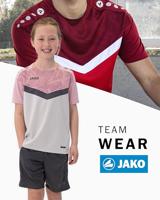 JAKO 6124K T-Shirt Iconic Kids - Zachtgrijs/Dusky Pink/Anthra Light - 140 - thumbnail