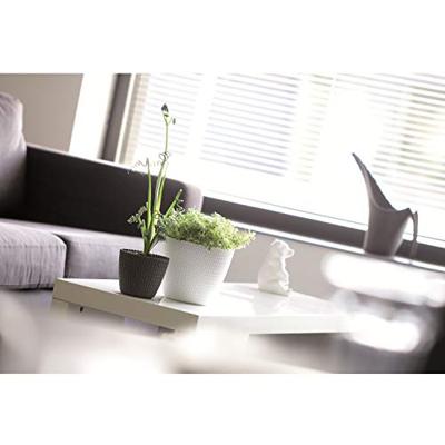 Prosperplast Plantenpot - creme wit - kunststof - D16 x H13 cm