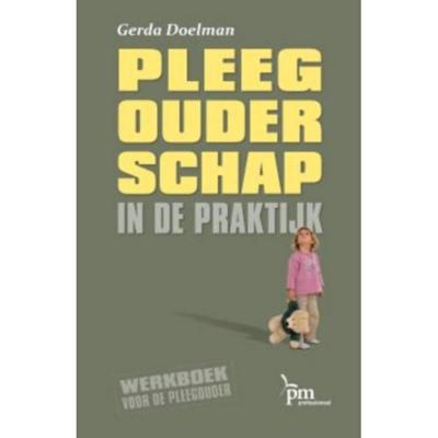 Pleegouderschap in de praktijk (Hardback)