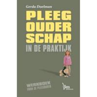 Pleegouderschap in de praktijk (Hardback) - thumbnail