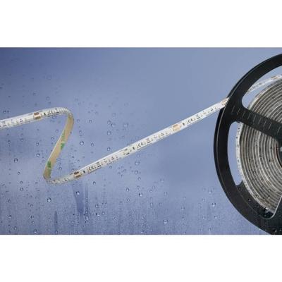 Barthelme 51540234 51540234 LED-strip Met open kabeleinde 24 V 5 m Koudwit 1 stuk(s) Barthelme 51540234 51540234 LED-strip Met open kabeleinde 24 V 5 m Koudwit 1 stuk(s)