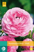 Ranunculus Roze Bloembol JUB 10 bollen - Jub - thumbnail