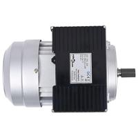 Elektromotor 1 fase 2,2 kW/3 pk 2-polig 2800 rpm aluminium - thumbnail