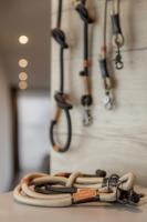 Trainingshalsbanden voor honden Trixie Be Nordic Zwart Zand S/M 40 cm - thumbnail