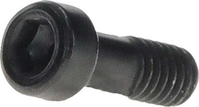 Bosch M4x10.5 Bolt for Purion 400