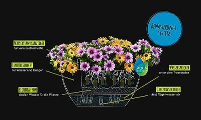 LECHUZA CUBETO Binnen/buiten Plantenpot Vrijstaand Polypropyleen (PP) Zwart LECHUZA CUBETO Binnen/buiten Plantenpot Vrijstaand Polypropyleen (PP) Zwart