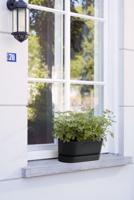 Elho greenville trough long 50 living black - thumbnail