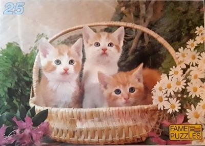 Jins legpuzzel Poesjes junior 25 stukjes