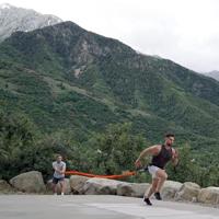 Son Of The Beast Pro 35 kg - thumbnail