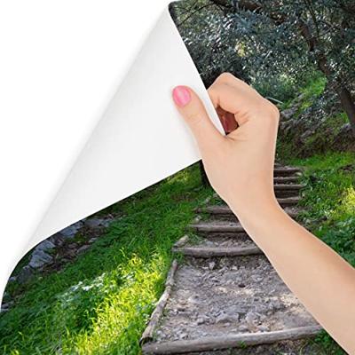 Fotobehang - Trap in het bos, groen, Prachtig aan je muur, 11 maten, inclusief behanglijm