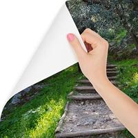 Fotobehang - Trap in het bos, groen, Prachtig aan je muur, 11 maten, inclusief behanglijm - thumbnail