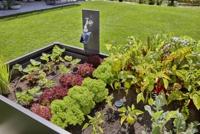 Gardena Micro-Drip-Bewatering gewassen/plantenrijen Set (15 m) - thumbnail