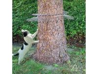 Gardigo Waschbär-, Marder-, Katzen- Abwehrgürtel Ongedierteverschrikker Functies: Afschrikking 1 stuk(s) - thumbnail