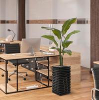 Traveller Palm promo 120cm - thumbnail