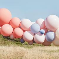 Ballonnenboog Chique Blush, Nude & Blauw - thumbnail