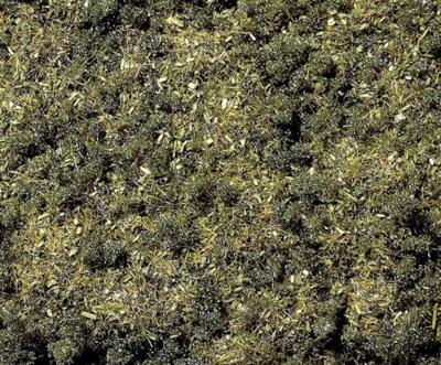 NOCH 8350 Strooigras Bosgrond Donkergroen