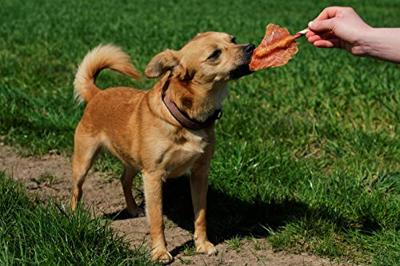 8in1 Triple Flavour wings hondensnacks 1 verpakking 8in1 Triple Flavour wings hondensnacks 1 verpakking