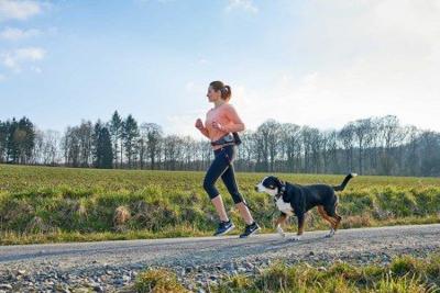Hunter Belt pouch with anti-jerk leash Jasper Grijs, Rood Hond Handsfree riem Hunter Belt pouch with anti-jerk leash Jasper Grijs, Rood Hond Handsfree riem