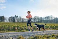 Hunter Belt pouch with anti-jerk leash Jasper Grijs, Rood Hond Handsfree riem - thumbnail