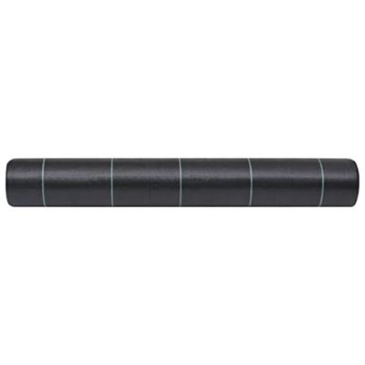 Worteldoek 2x10 m PP zwart - thumbnail