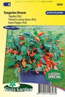 Paprika zaden POT Tangerine Dream - thumbnail