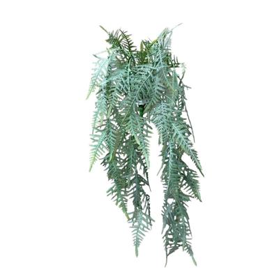 Roberts Collection Kunst hangplant asperges plumosus grijs