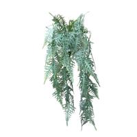 Roberts Collection Kunst hangplant asperges plumosus grijs - thumbnail