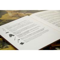 De Avonturen van Robin Hood - thumbnail