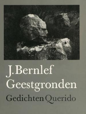 Geestgronden - J. Bernlef - ebook