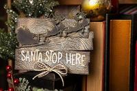 Sizzix • tim holtz thinlits die set reindeer sleigh - thumbnail