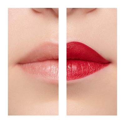 Lippenstift Givenchy Le Rouge Lips N307 3,4 g