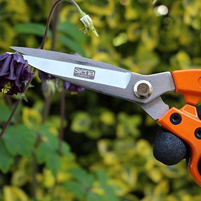 Siena Garden CG2060 Tuinschaar 19 cm Bypass