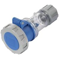 Sygonix SY-5873152 CEE-CARA-koppeling 16 A 3-polig 230 V/AC 1 stuk(s) - thumbnail