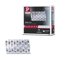 Paulmann MaxLED Stripe Daylight 79858 LED-strip Met connector (male) 2.5 m Daglichtwit 1 stuk(s) - thumbnail