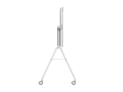 Webcam Logitech 952-000251