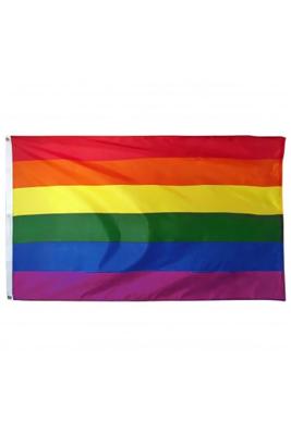 Vlag Regenboog 90 x 150 cm