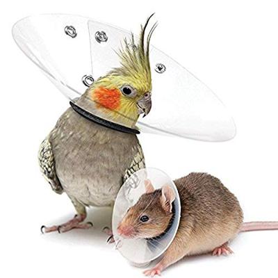 Elizabethaanse halsband voor knaagdieren KVP Transparant 5.75-7.5 cm