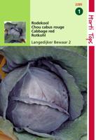 Zaden Rodekool Langedijker Bewaar 2 Hortitops - Hortitops - thumbnail