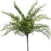 Crassula bush x18 30 cm green kunstbloem zijde nepbloem Emerald - Emerald - thumbnail