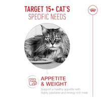 Royal Canin FHN Ageing 15+ kattenvoer 4 kilo - thumbnail