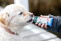 TRIXIE LEVERWORST MET HENNEP 12X75 GR - thumbnail