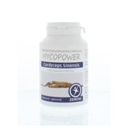 Cordyceps sinensis bio 100 Capsules - thumbnail
