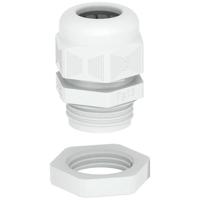 OBO Bettermann 2024663 Wartel Kunststof, PA Lichtgrijs 25 stuk(s) - thumbnail