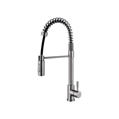 BWS Professionele Hera Keukenkraan met Handdouche RVS