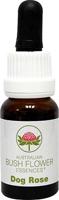 Australian Bush Dog rose 15 Milliliter - thumbnail
