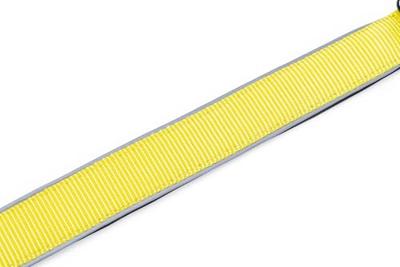 Beeztees safety gear Parinca Premium LED Nylon hondenhalsband 50-55x2,5cm