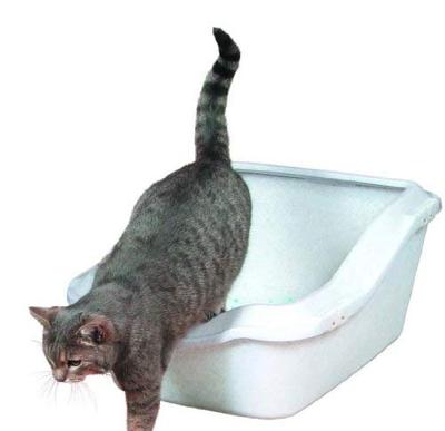 Kattenbak Trixie Cleany Wit 45 × 29 × 54 cm Plastic